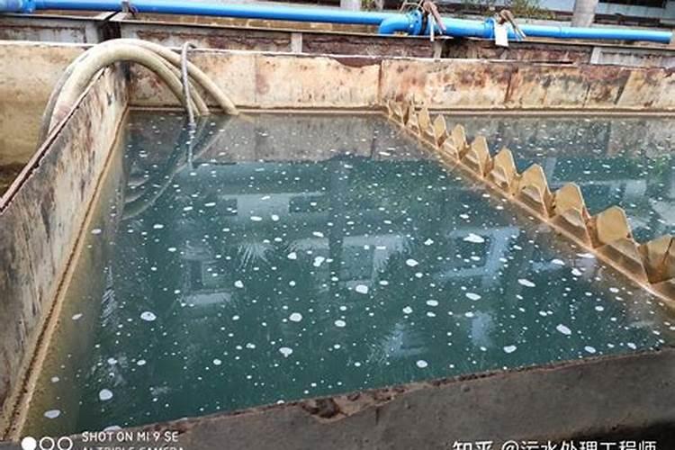 氨氮超标怎样处理