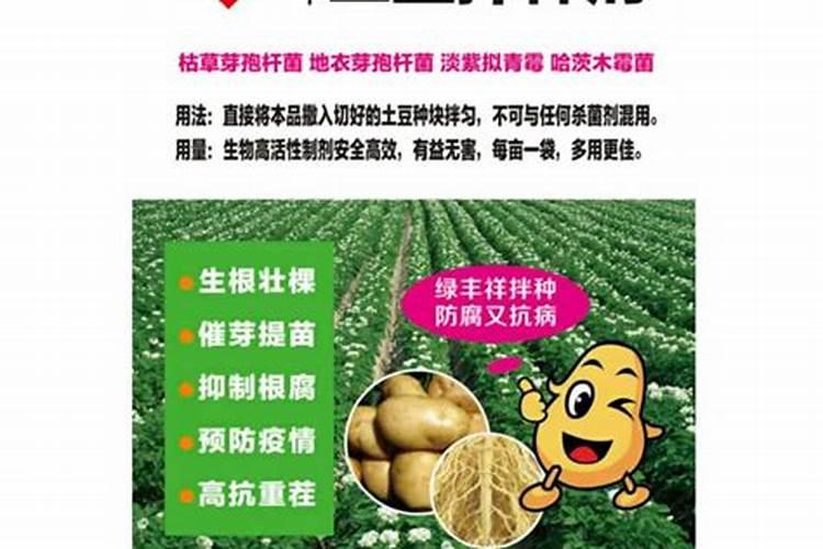 种植马铃薯该怎么科学施肥？