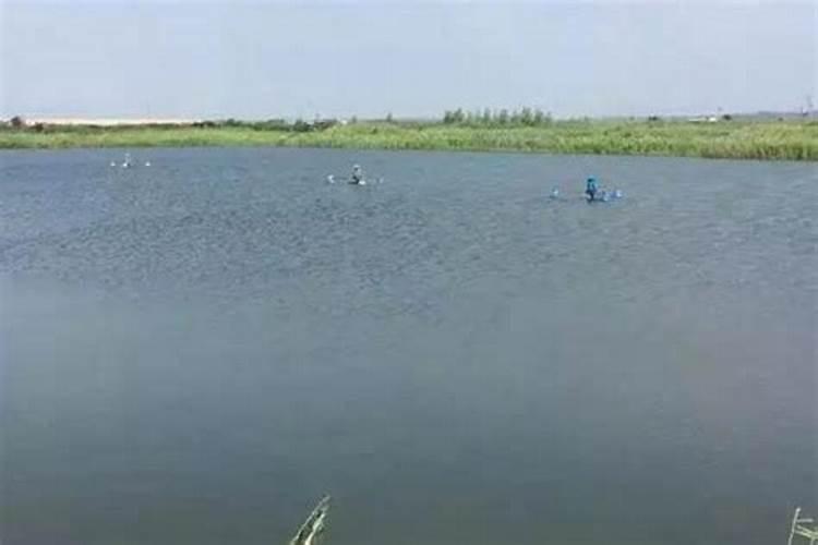 水溶肥是什么肥料,水溶肥料怎么使用效果更好