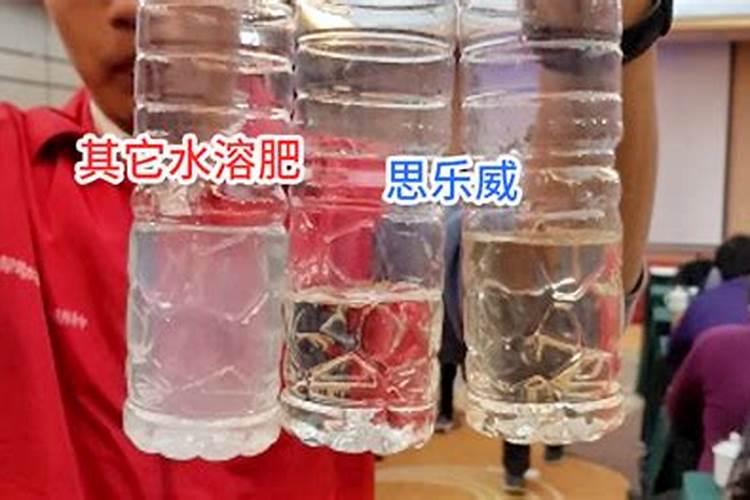 杨梅施什么肥料好
