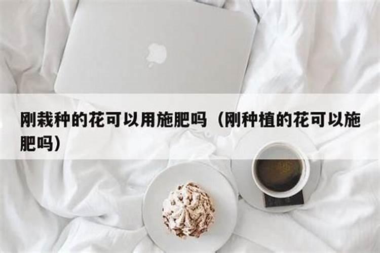 第一年栽的树用施肥吗