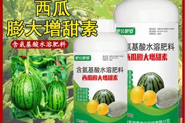 什么茶叶含钾最多