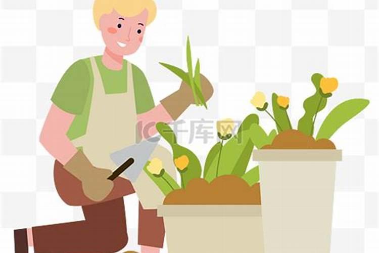 钾肥在土壤中受到哪些较大如何提高作物钾肥利用效果