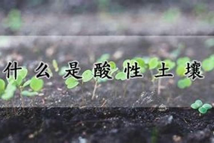 酸性土壤改良方法用什么肥 土壤酸性过高怎么施肥改良