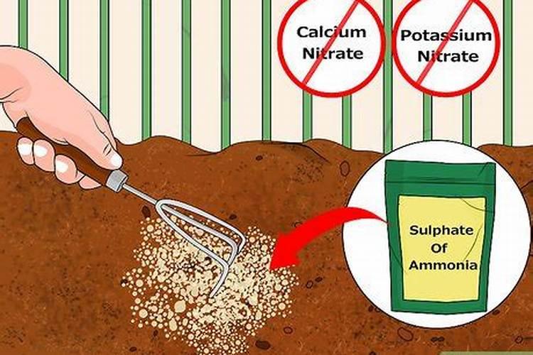 什么肥料能让土壤变成酸性土