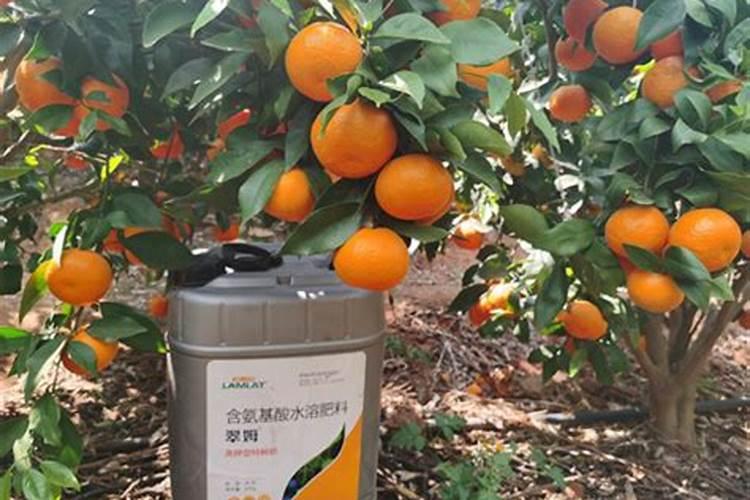 化肥对土地的伤害