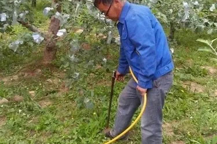 脲铵氮肥和尿素的区别是什么