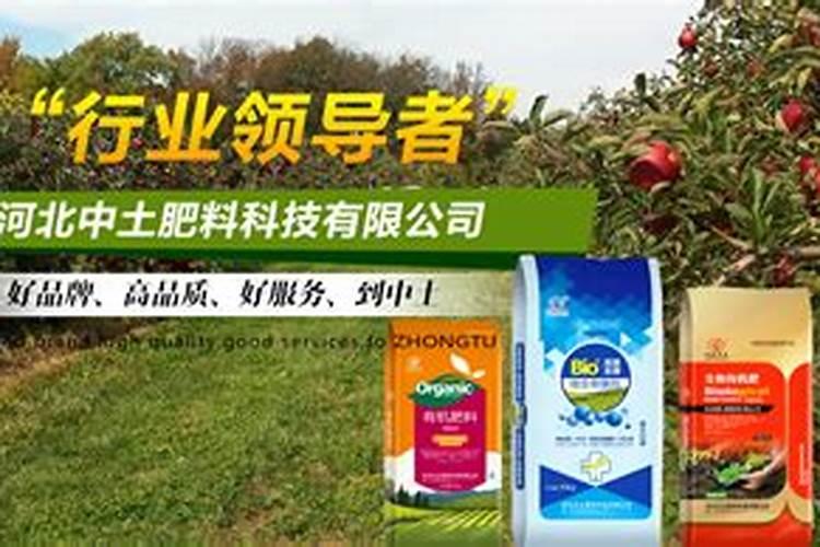 鸡头根种植的前景如何