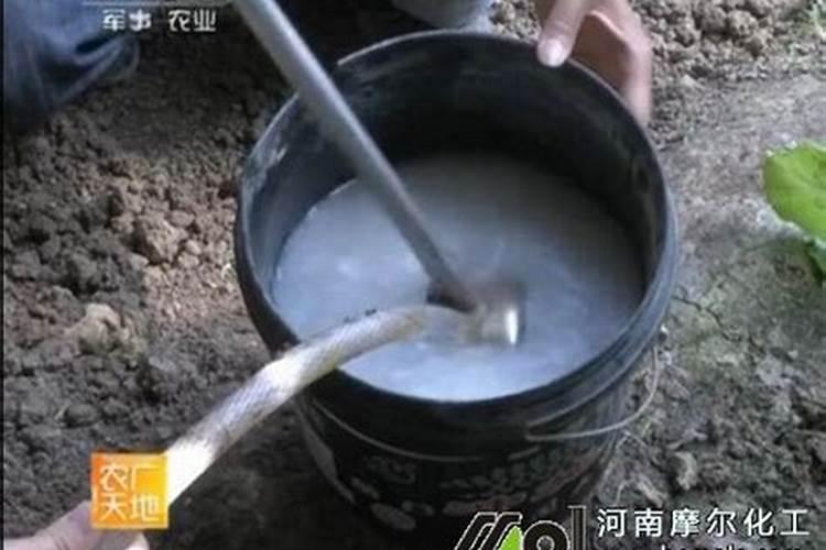 氮肥怎么区分
