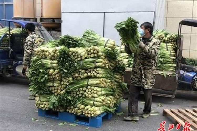 种大葱用什么肥料
