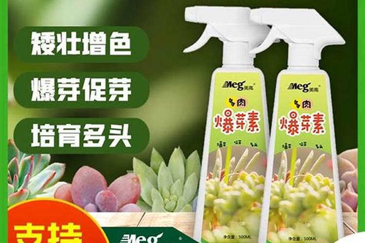 多肉可以用水溶肥吗？