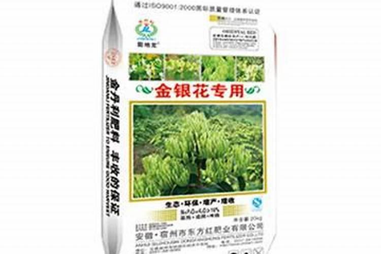 不怕晒的阳台植物有哪些(好养又耐晒的植物大全)