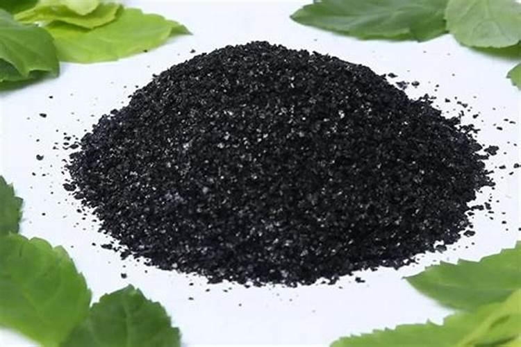 西瓜重茬 生了根腐病如何治疗和防治？
