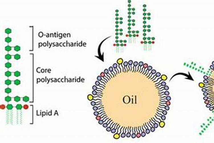 为什么白色皮革制品容易变黄,如何避免或缓解变黄？
