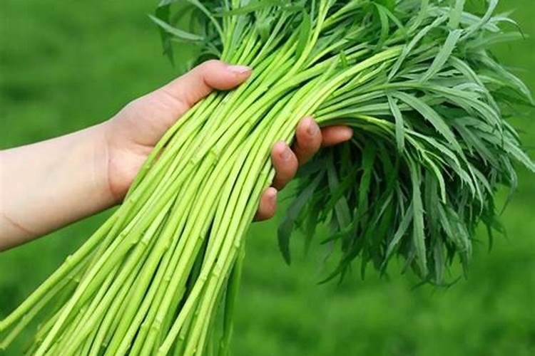 云化嘉吉是什么肥料 我们这来了个卖这化肥的 还送很多东西 这肥料是...
