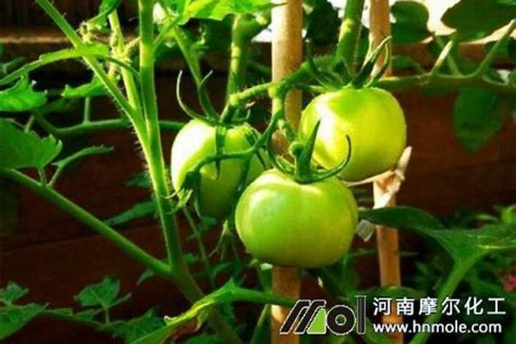 高氮高钾的肥料有哪些