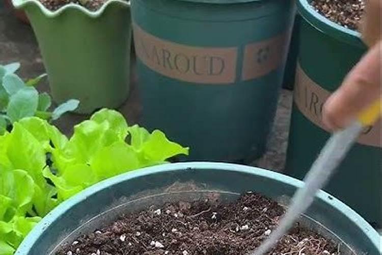 有人说种庄稼不除草不上化肥,产量一年比一年高,你相信吗？
