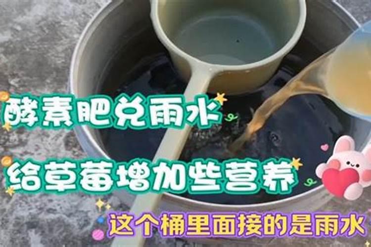 10平方大的草莓苗适合上多少复合肥