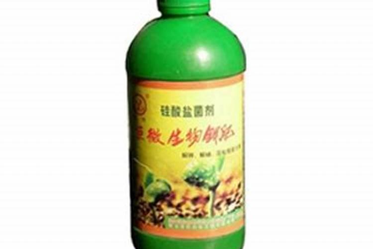 沃柑保花保果最好的方法 沃柑花期如何保花保果