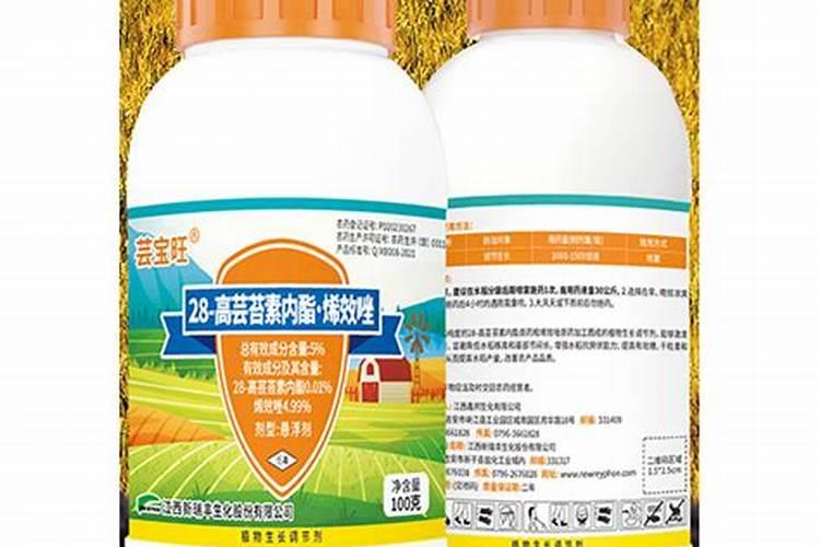 玉米打芸苔素会高产吗？那该怎么施呢？