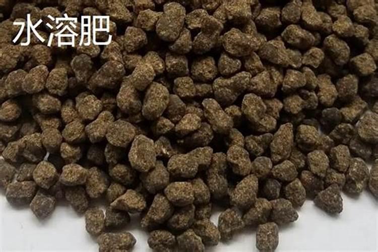 男主叫行流云女主叫楚什么洛古言重生小说？