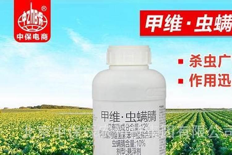 盆栽苹果树的正确种植方法是什么
