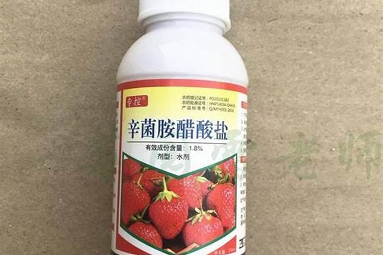 打炭疽病最特效的农药