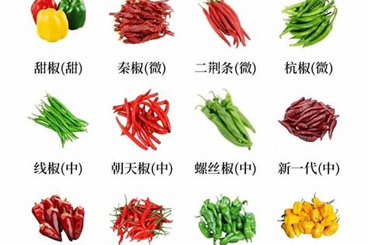种蔬菜用什么肥料好