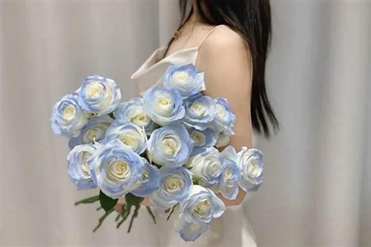 碎冰蓝玫瑰是染色的吗