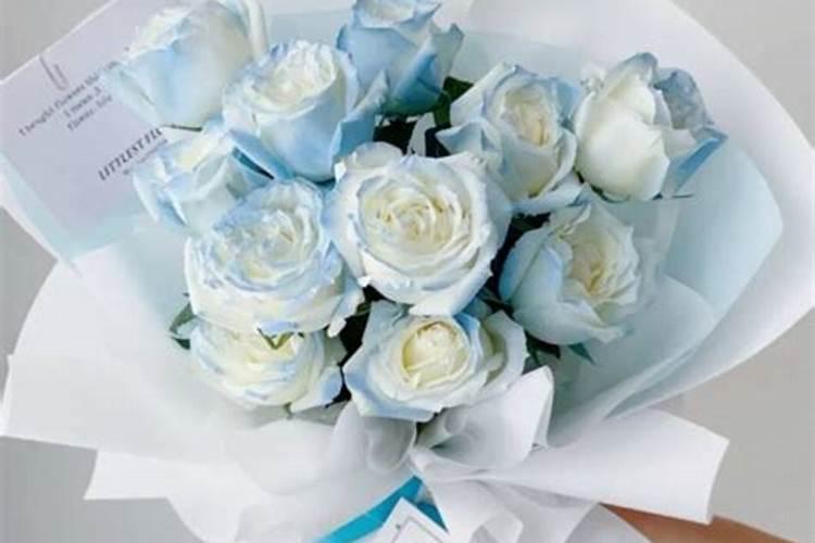 碎冰蓝如何种植？