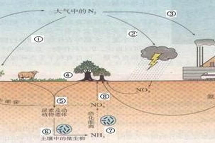 大气中有哪些重要含氮化合物？说明它们的天然来源和人为来源及对环境的...