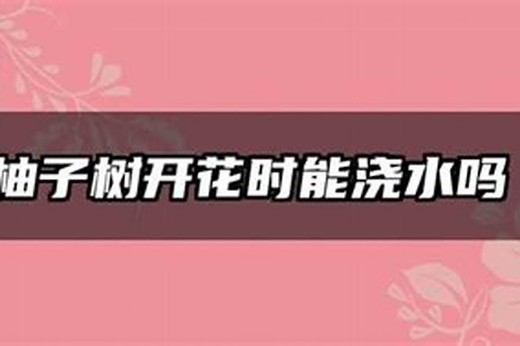 柚子树开花期施什么肥