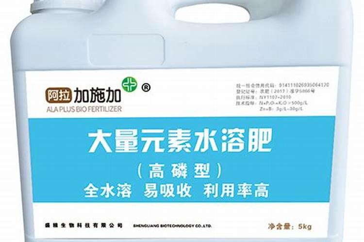 葵花追肥用什么肥好(葵花前期需要冲施什么肥料来吸收)