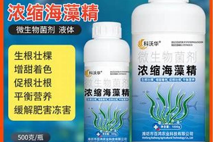 用什么肥可以丰根？