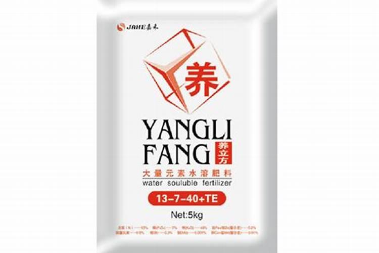 潍坊市大枣批发市场在哪里？