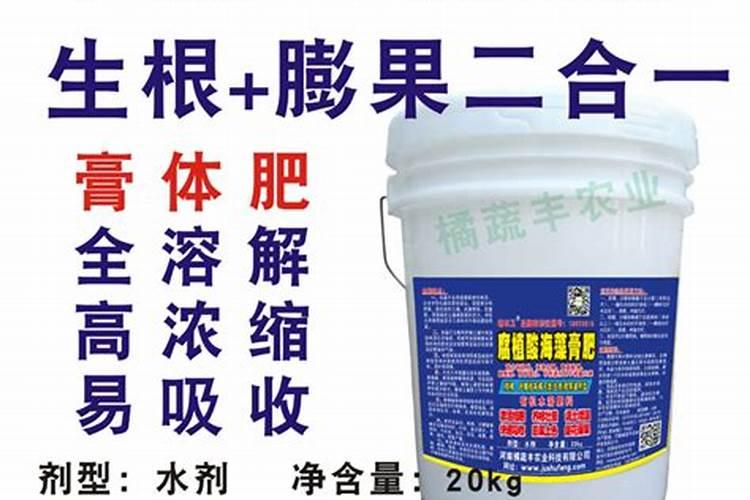 柑橘开春用什么肥料