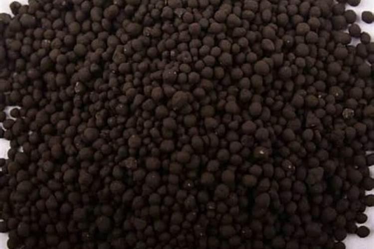 空气中含量最多且可用来制造化肥的是( )A.稀有气体B.氧气C.二氧化碳D...