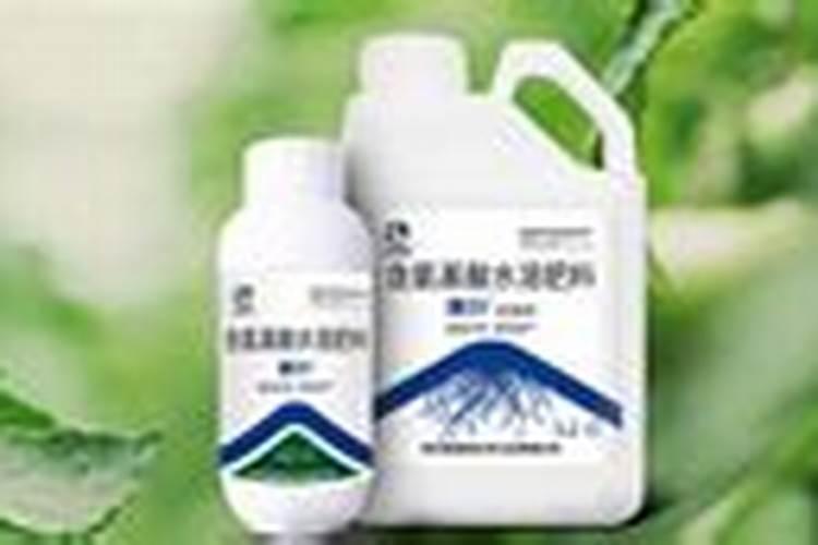 百香果在开花能打药吗