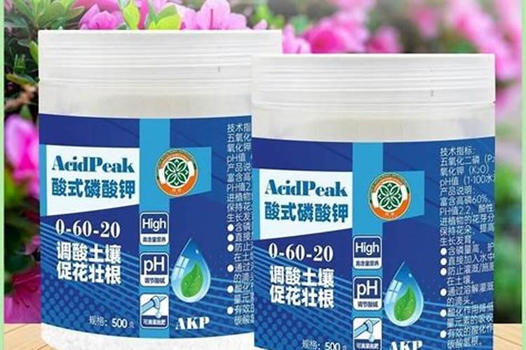 养花怎么补磷肥、磷肥可以养花吗