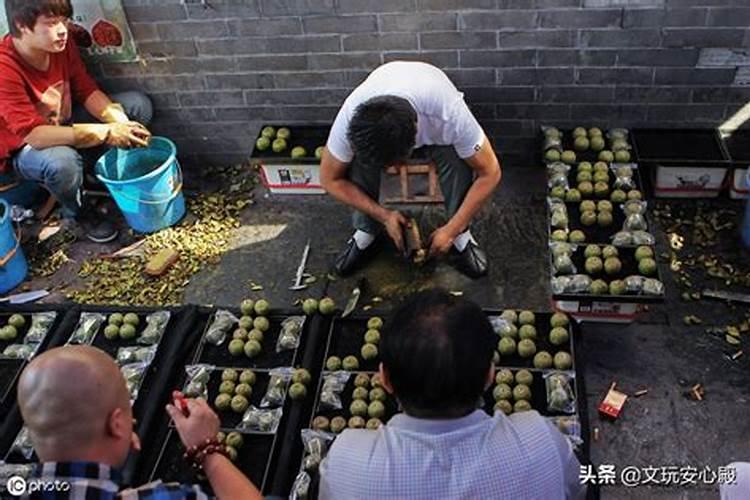 文玩核桃花盆栽怎么种 文玩核桃花盆栽如何种