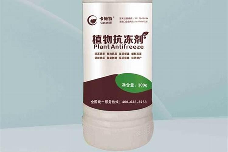 多肉怎么养植株更抗冻