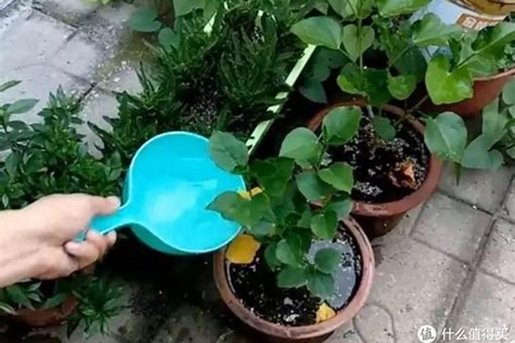 请问哪些股票它的主营业务是钾肥和磷肥的开采的？