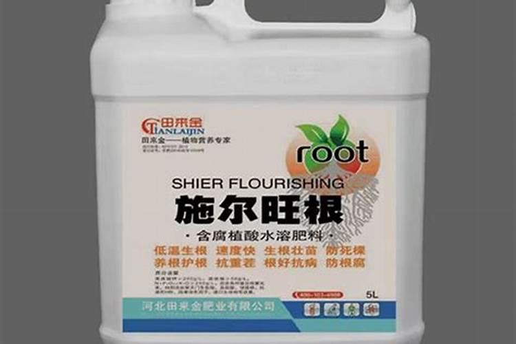 大棚草莓如何施肥