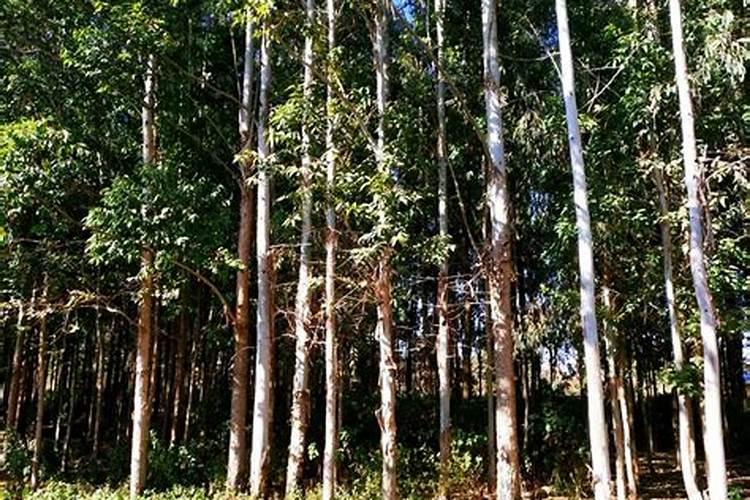 化肥施用过量带来这些危害,怎样避免？