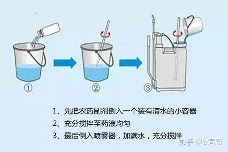 朱顶红怎么施肥用什么肥料好