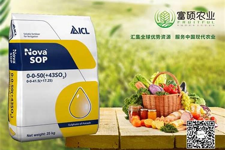 企业东宝HR系统是什么意思？