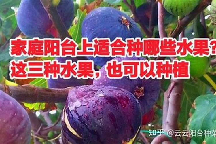 钾肥真伪如何识别