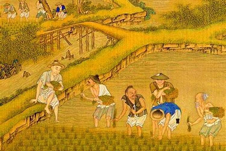 鱼蛋白自制配方比例