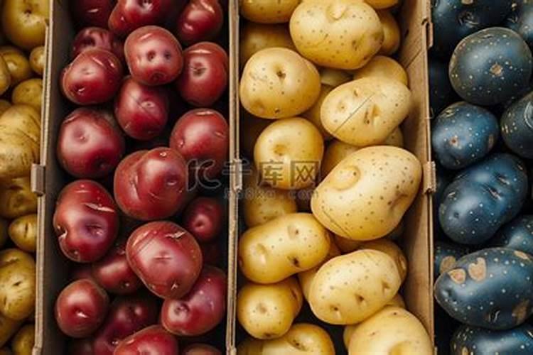 种土豆用什么肥料最好