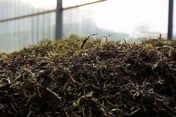 枯树叶怎样发酵成肥料